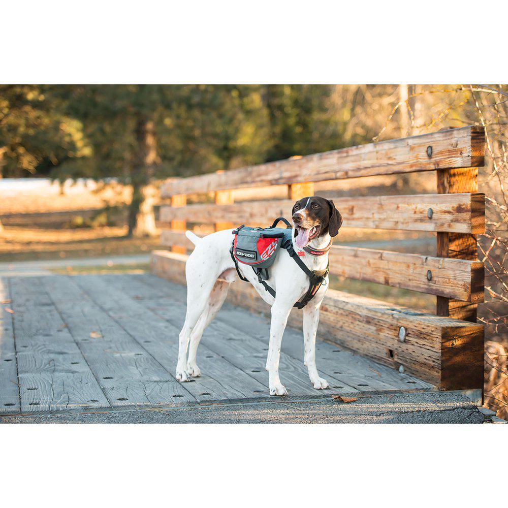 Ezydog Sele Summit Backpack Med Reflex