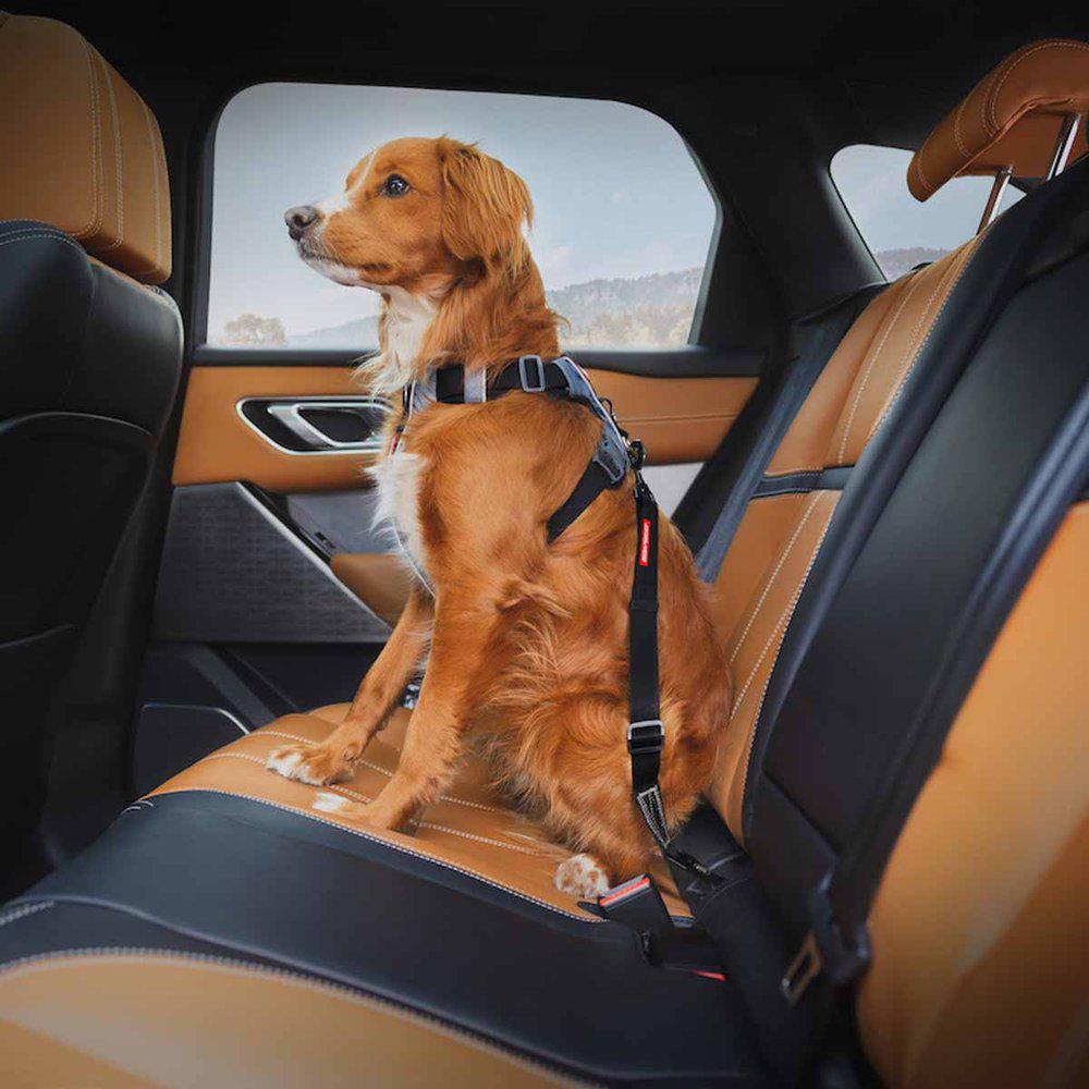 Ezydog Hundbälte Isofix M