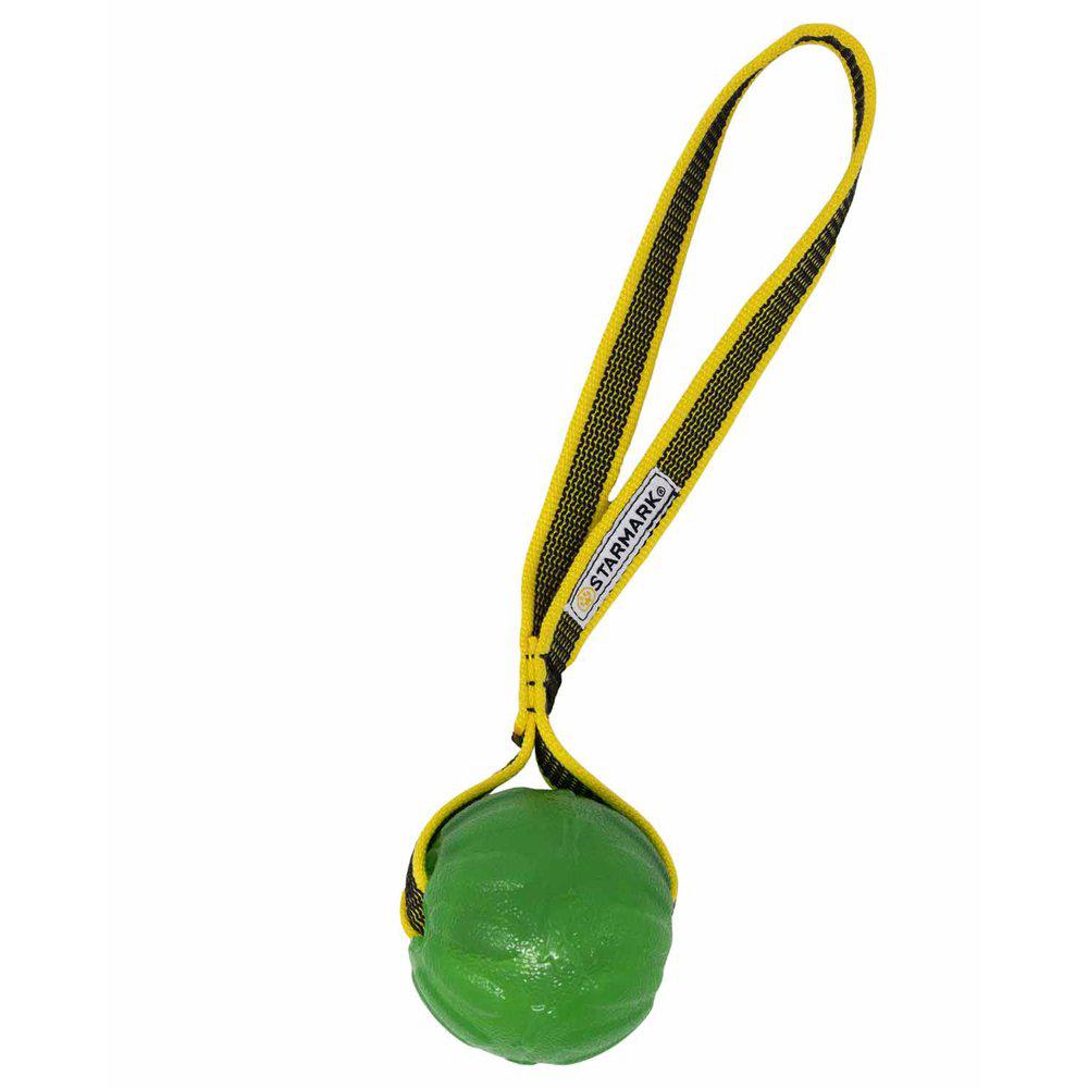 Starmark Gripcord Chew Ball Loop M