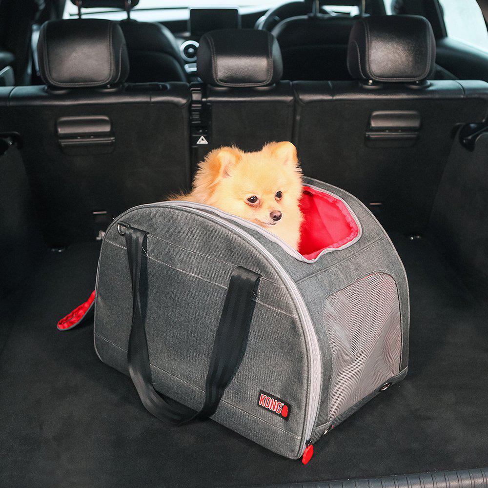 Kong 2-In-1 Pet Carrier & Travel Mat