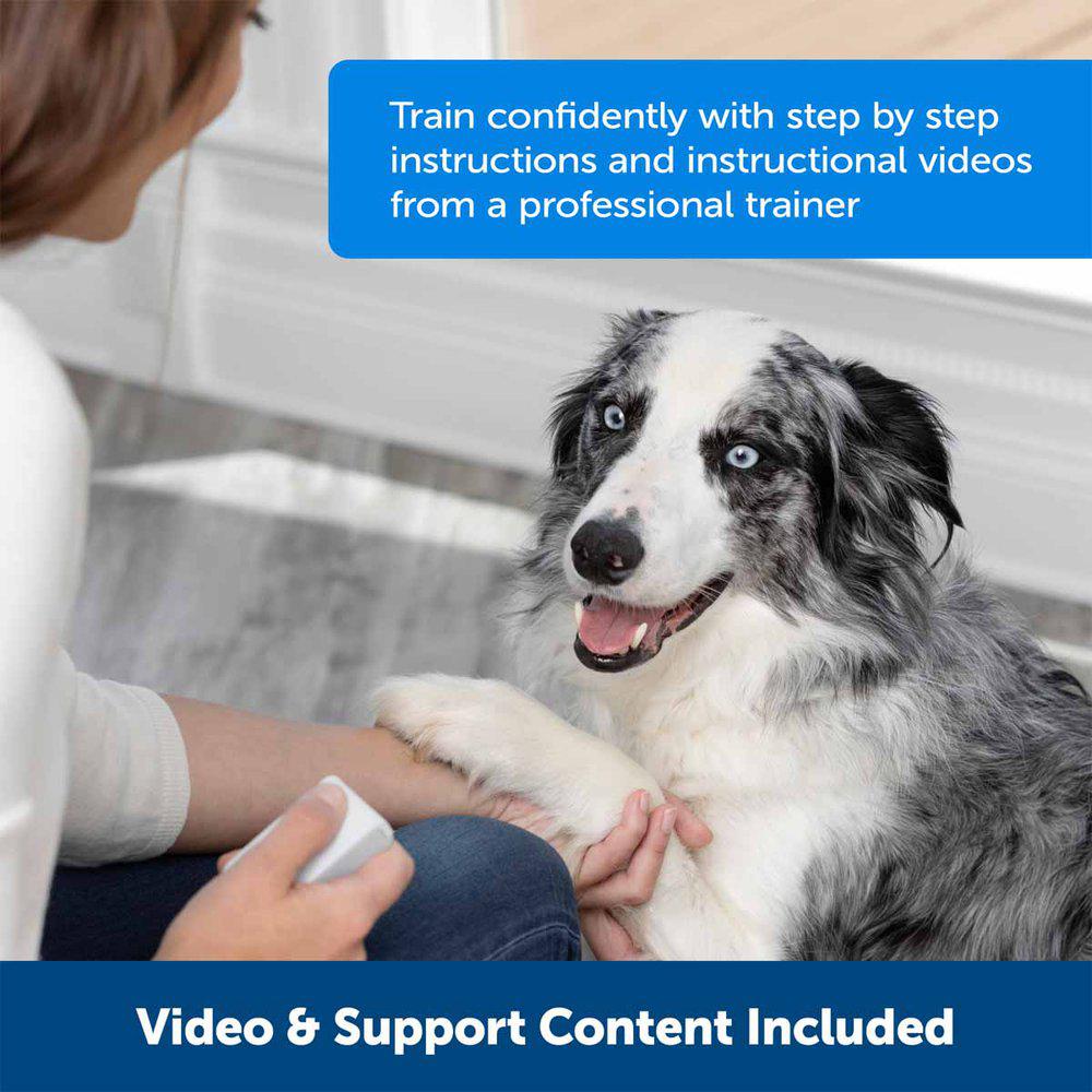 Teach&Treat Remote Reward Trainer