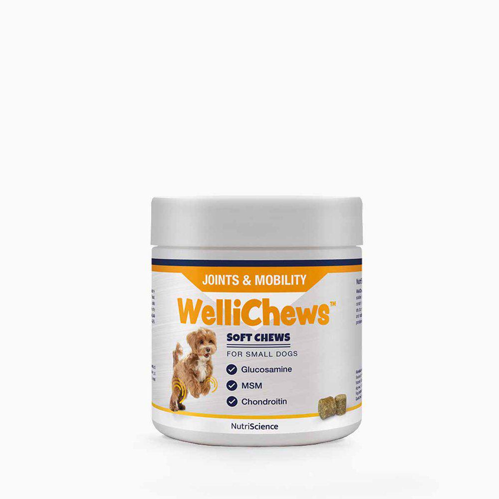 Wellichews Joint Small Dog/Cat Se/Fi120 St