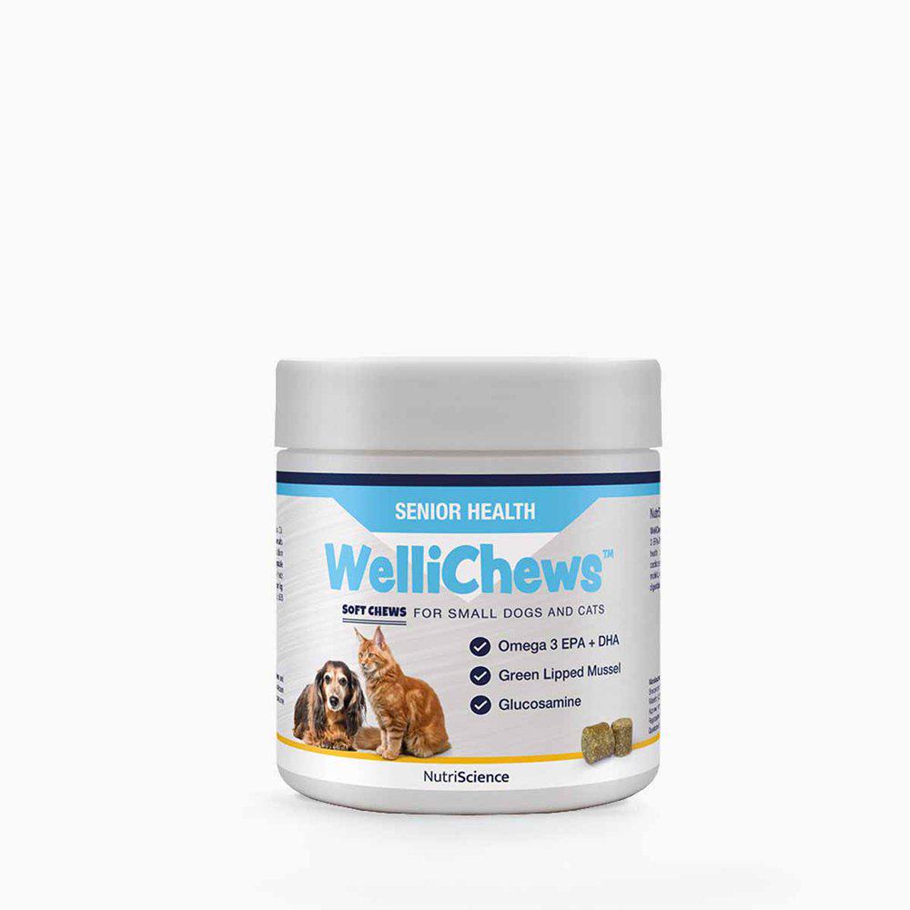 Wellichews Senior Small Dog/Cat Se/Fi60 St