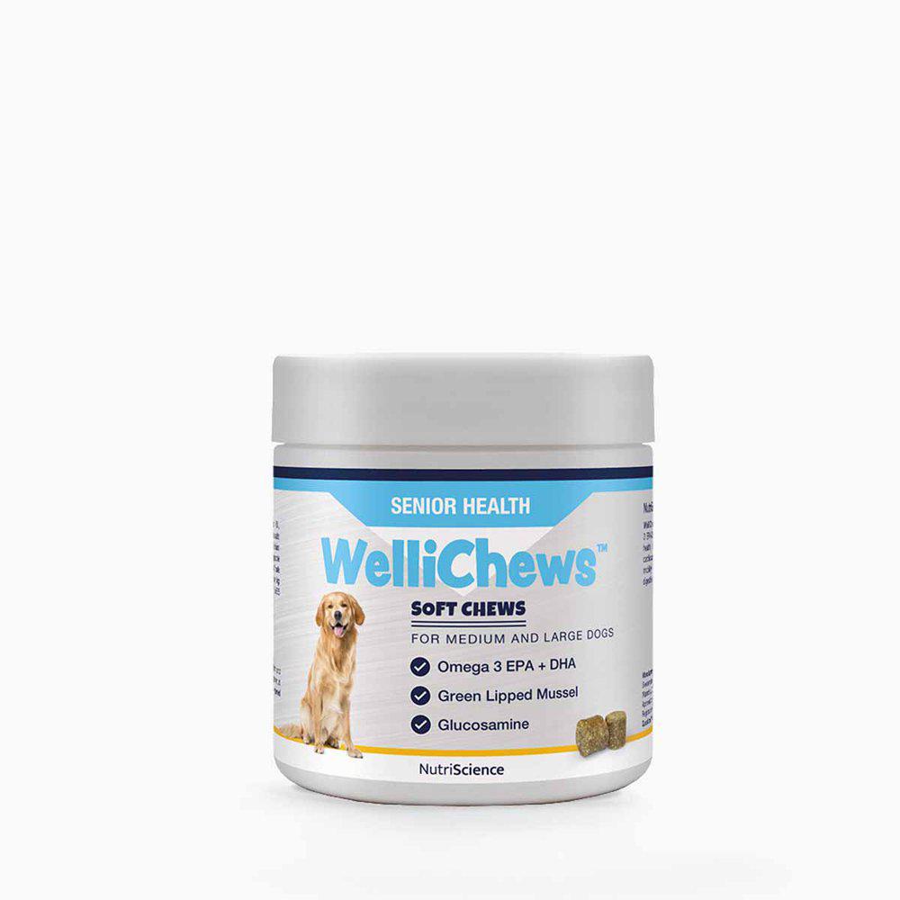 Wellichews Senior Medium/Large Se/Fi60 St