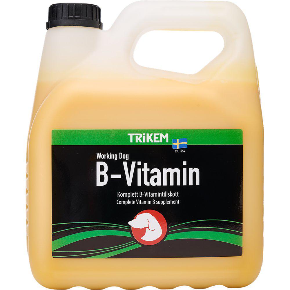 Wd B-Vitamin 3L