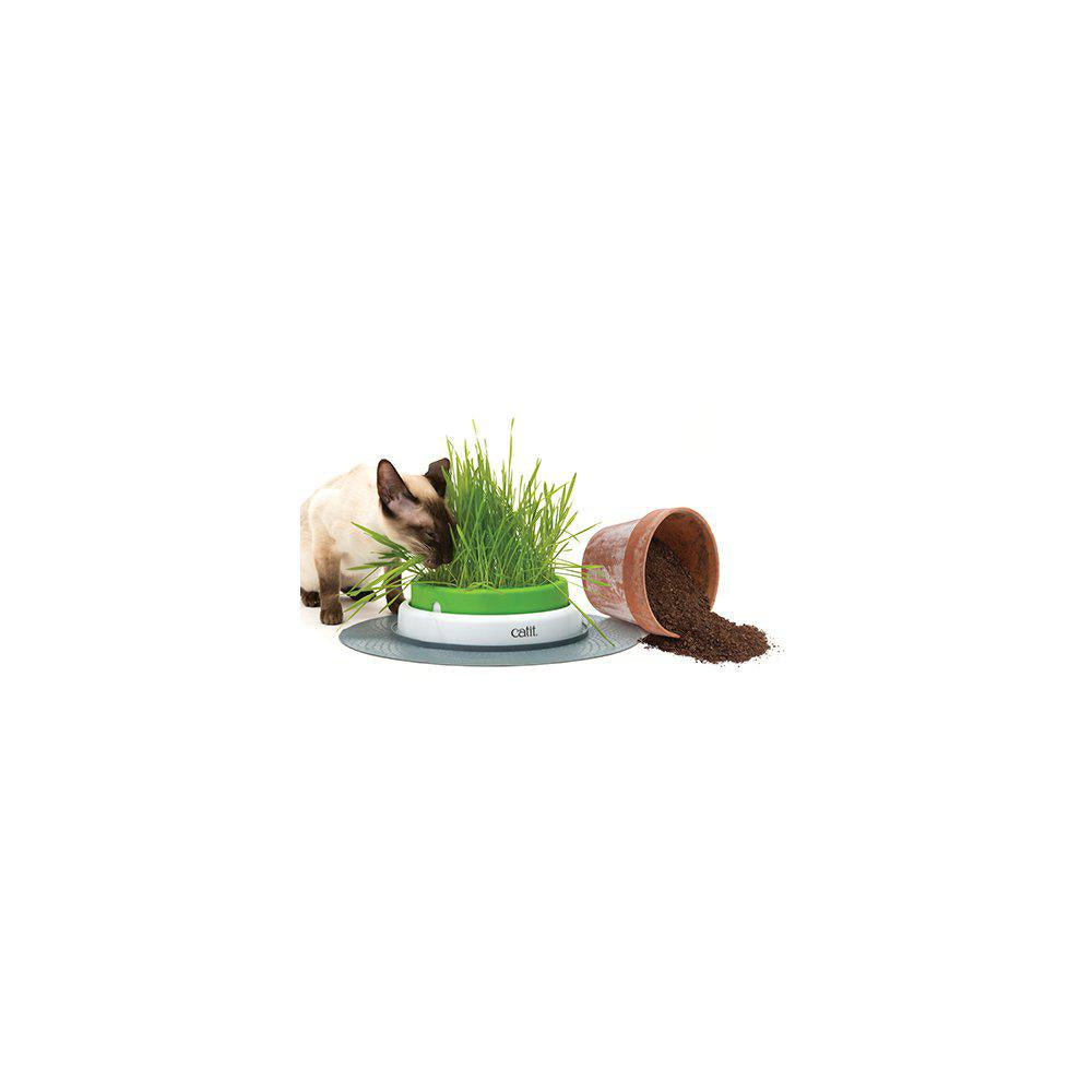 Catit Senses rass Planter