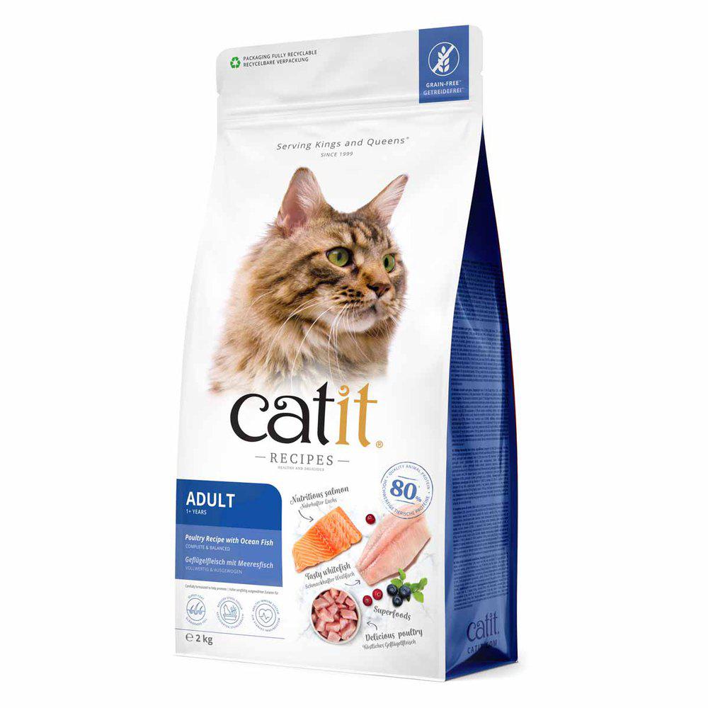 Catit Recipies Dry Adult Fish