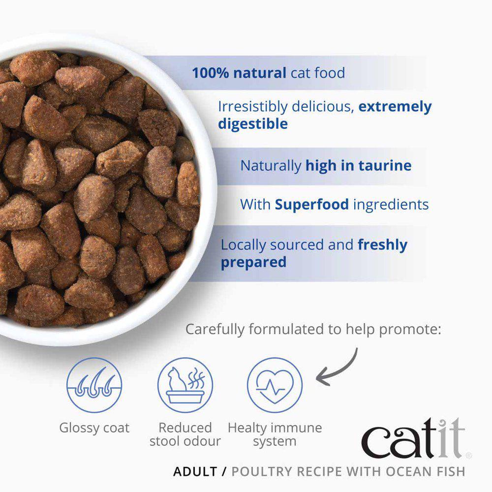 Catit Recipies Dry Adult Fish