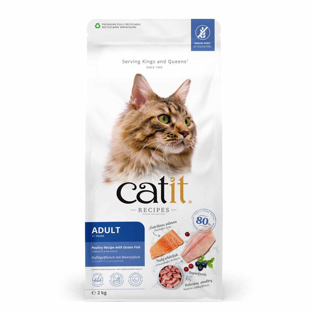 Catit Recipies Dry Adult Fish