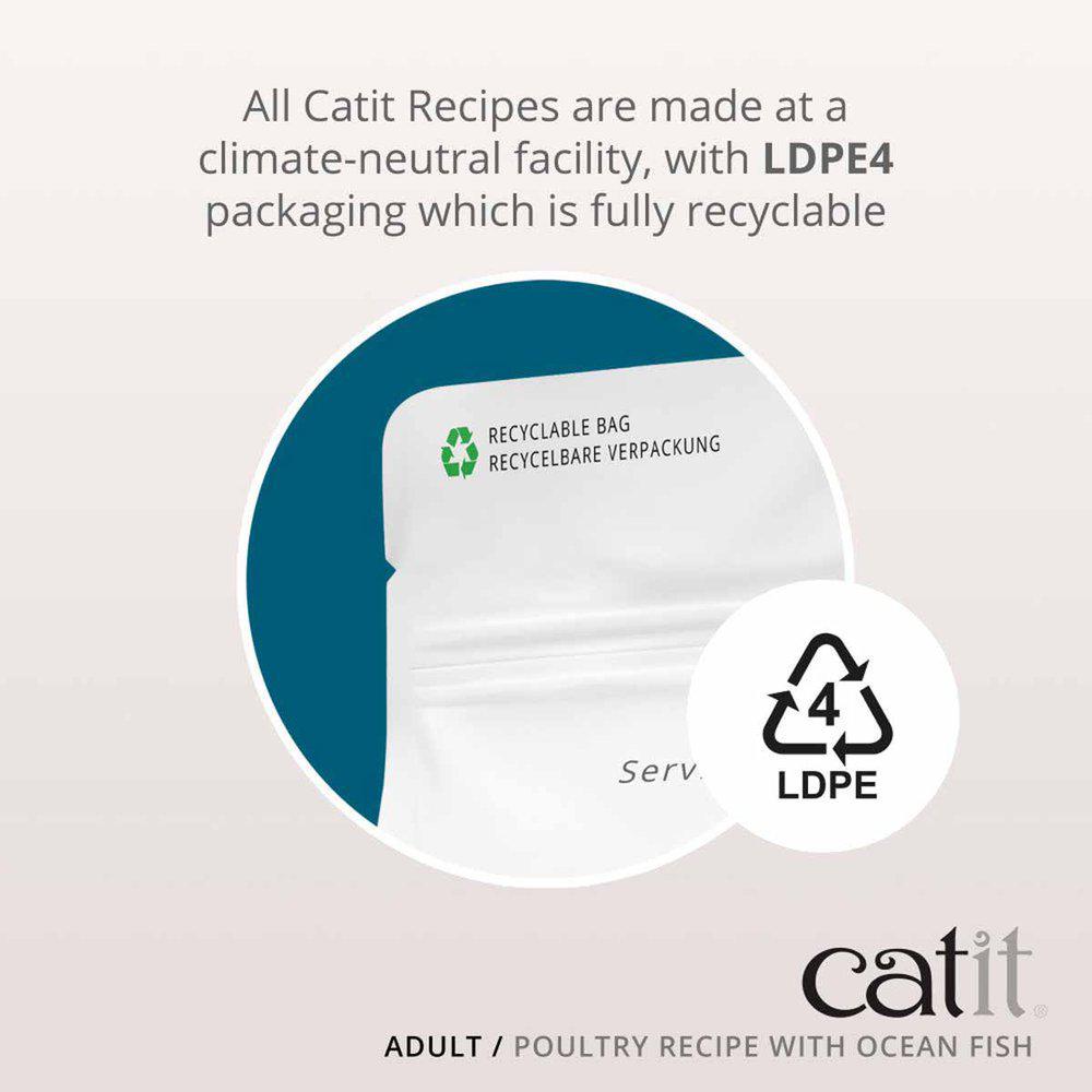 Catit Recipies Dry Adult Fish