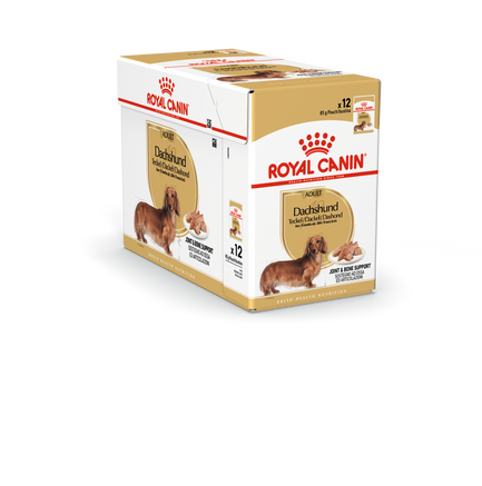 Royal Canin Dachshund Adult Våtfoder för hund 85 g x 12 st