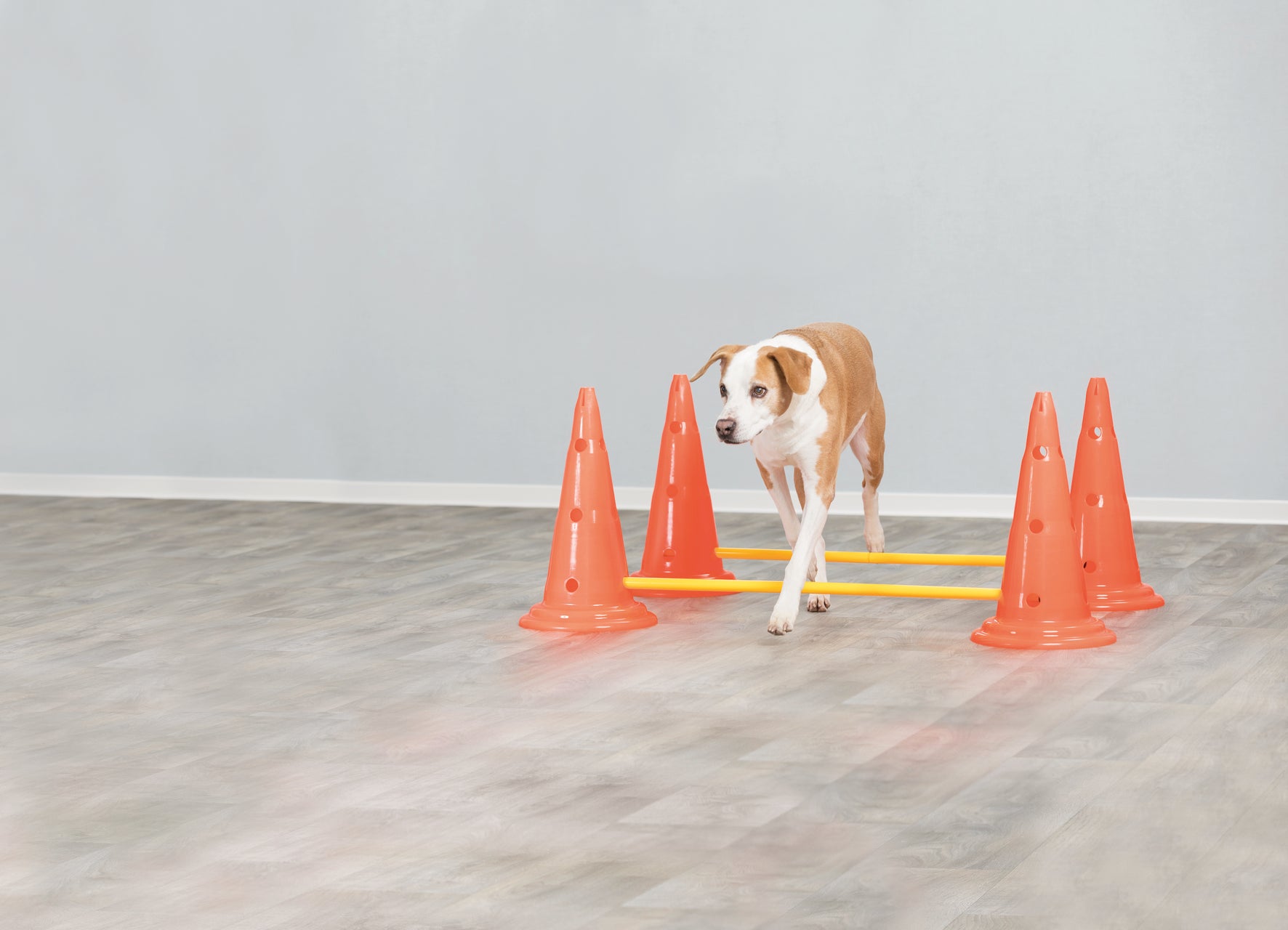 Trixie Dog Activity Hinderset 2 hinder, ø30×50cm, 100cm, orange & gul