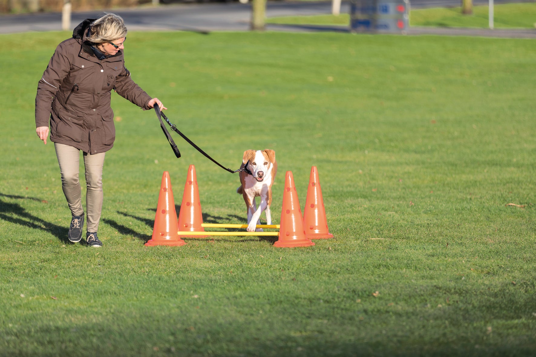 Trixie Dog Activity Hinderset 2 hinder, ø30×50cm, 100cm, orange & gul