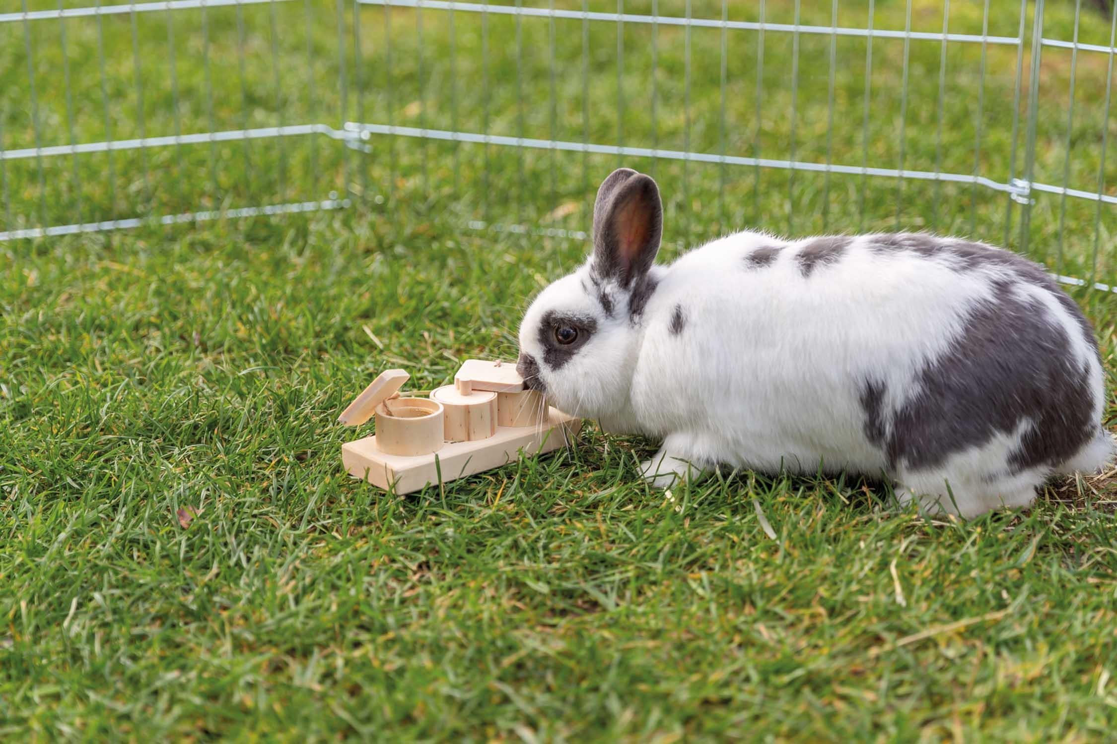 Trixie Snacksbox, trä