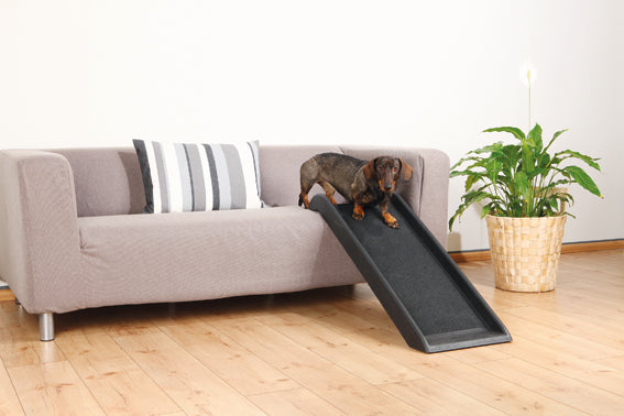 Trixie Ramp Petwalk, 38 x 100 cm, plast, svart, upp till 50 kg