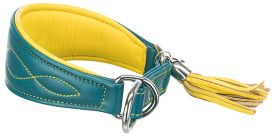 Trixie Active Comfort halsband för vinthund, XS: 21-26 cm/40 mm, petrol