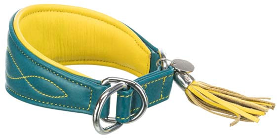 Trixie Active Comfort halsband för vinthund, XS-S: 24-31 cm/50 mm, petrol