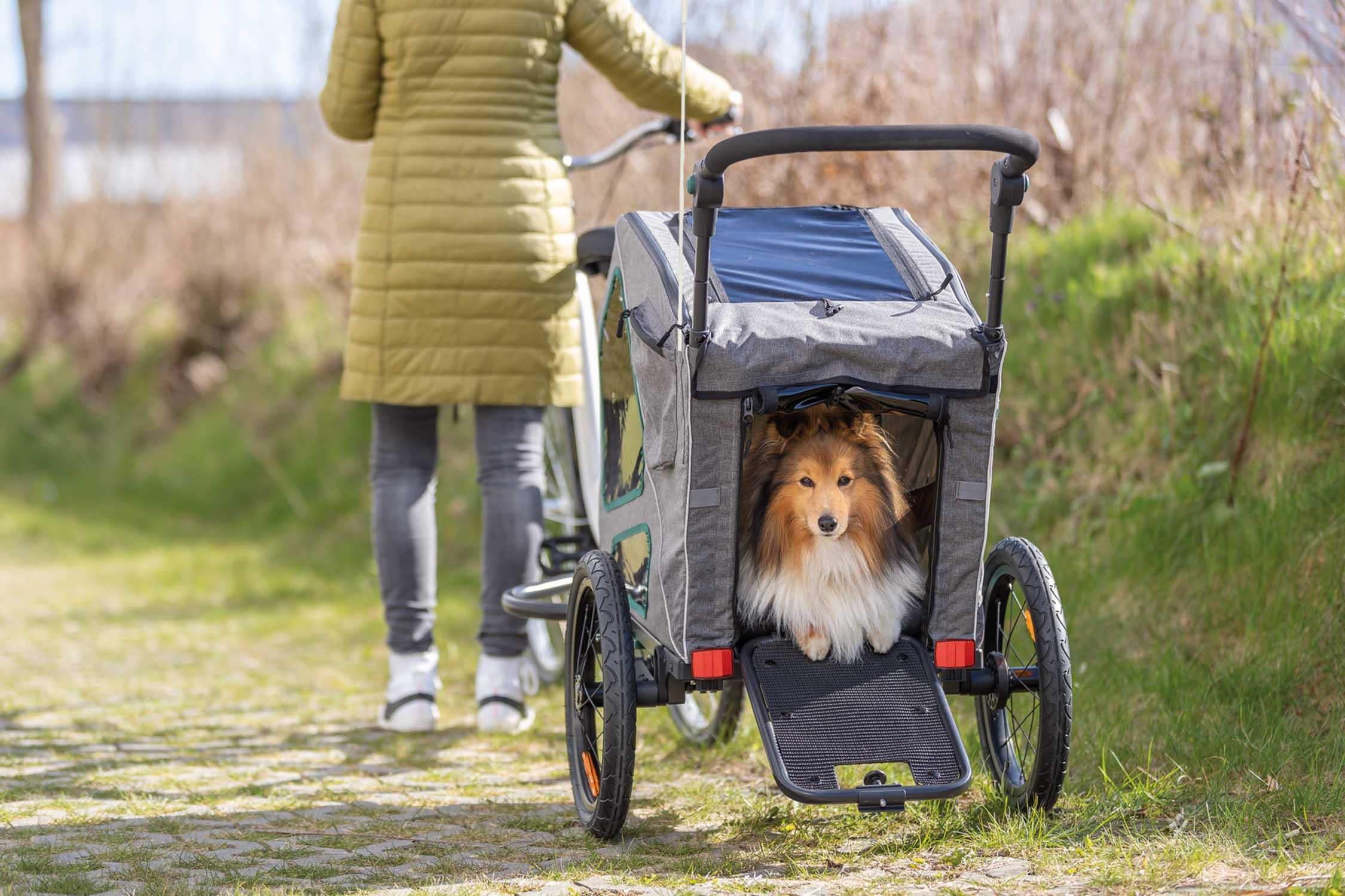 Cykelvagn, S: /130 cm, grå/sage