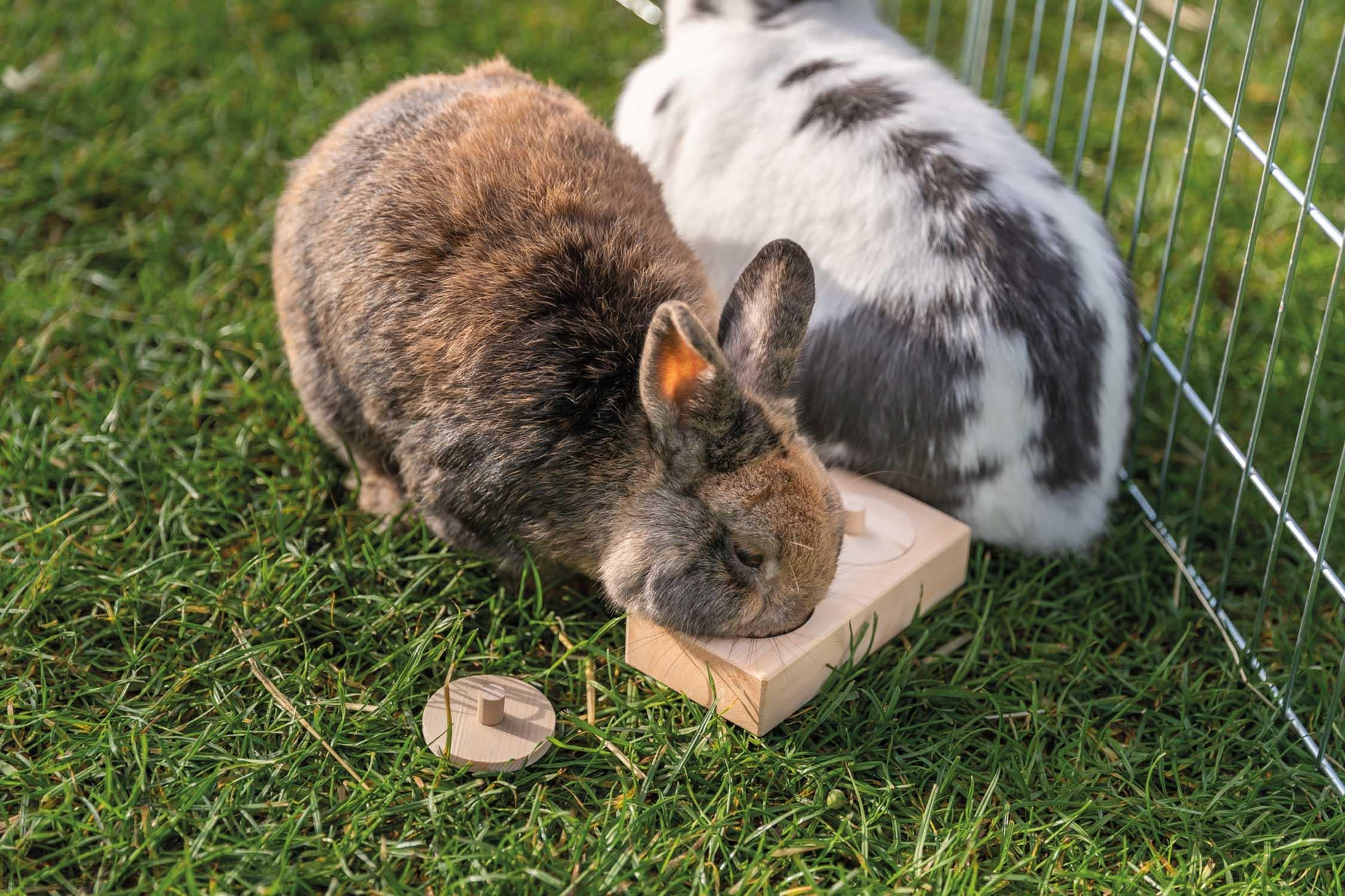 Trixie Snacksbox, trä