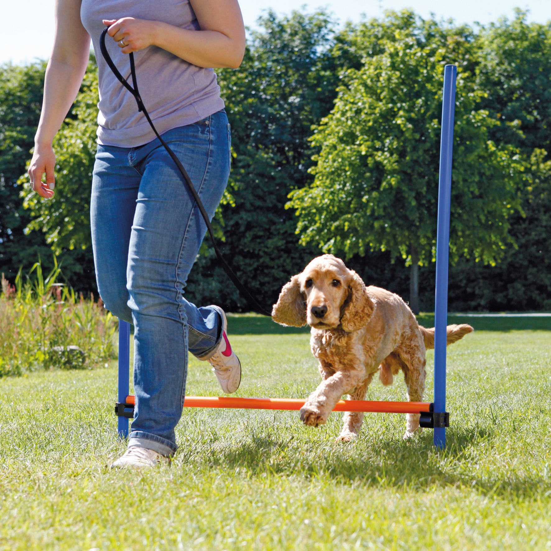 Agility Hopphinder Plast 123 x 115 cm