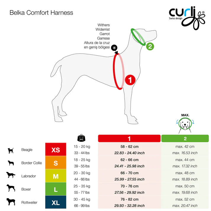Curli Magnetic Belka Comfort Sele