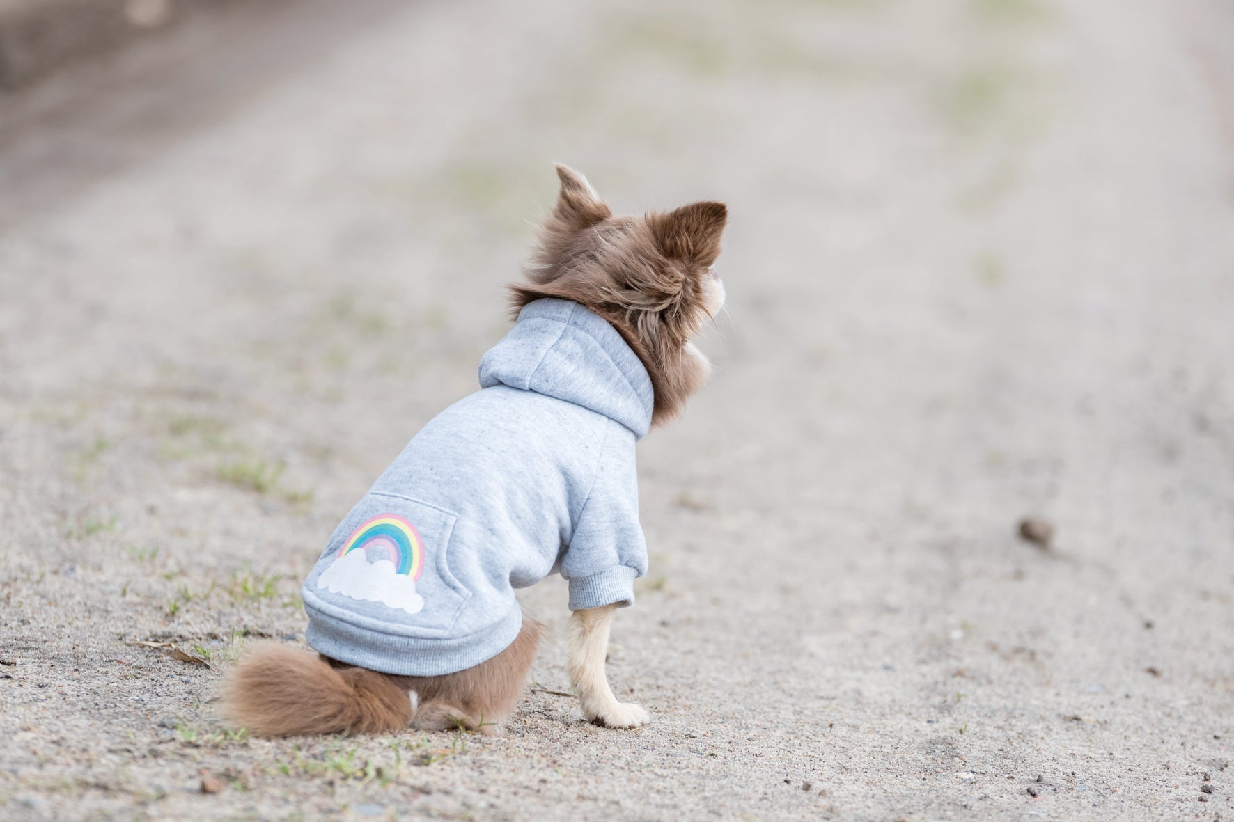 Trixie Rainbow Falls hoodie, XS: 30 cm, ljusgrå