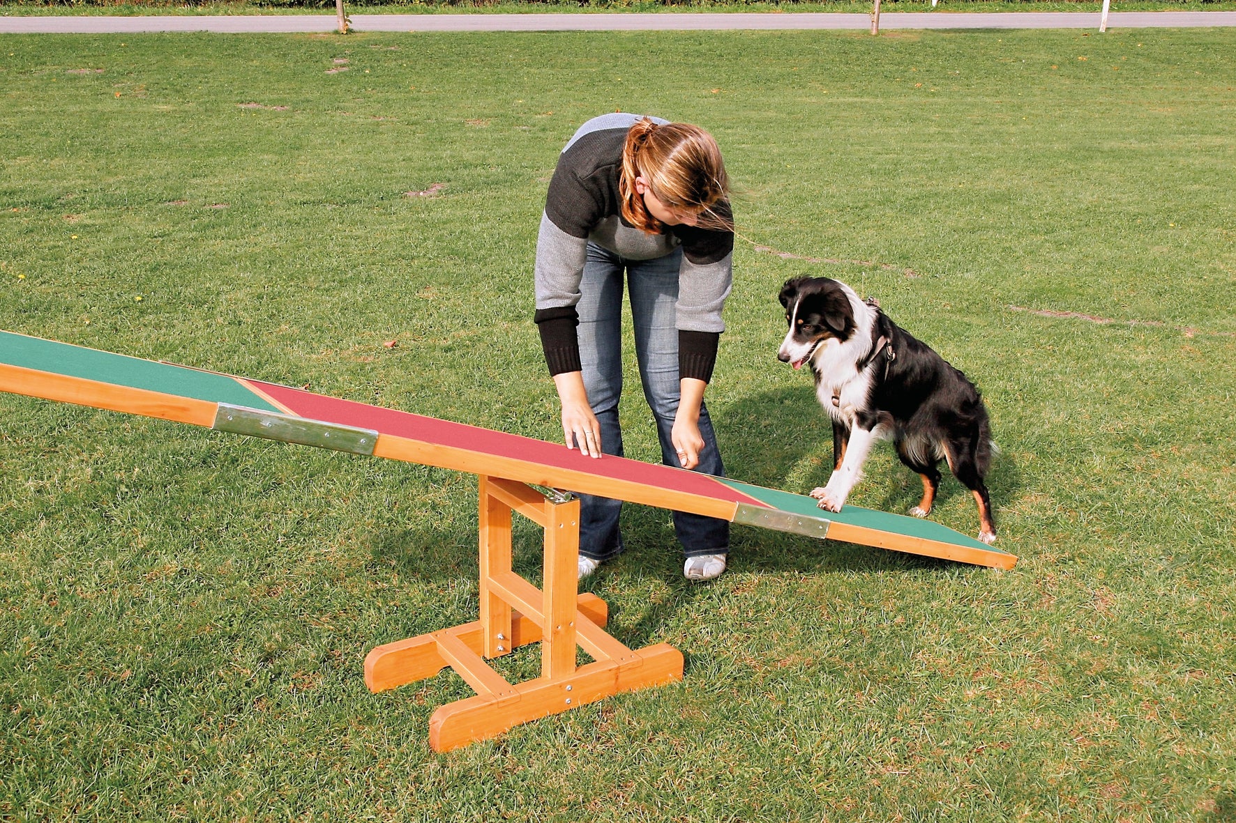 Agility Gungbräda Trä