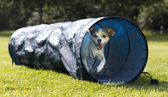 Agility Tunnel 40 x 200 cm