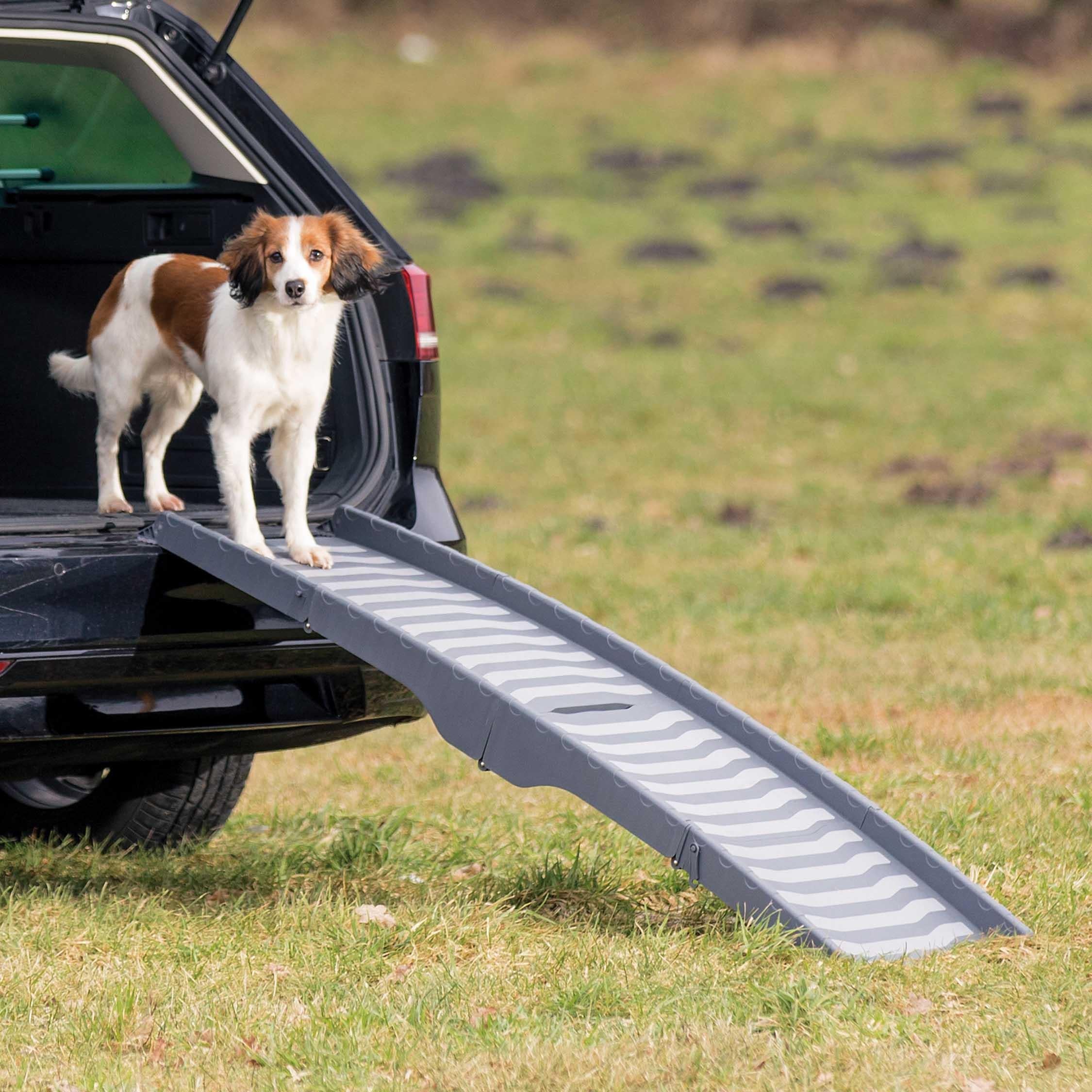 Trixie Ramp Petwalk, hopfällbar, 39 ×150 cm, plast, grå, upp till 25 kg