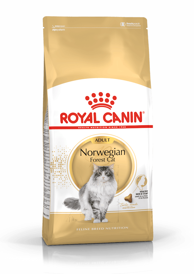 Royal Canin Norwegian Forest Adult Torrfoder för katt