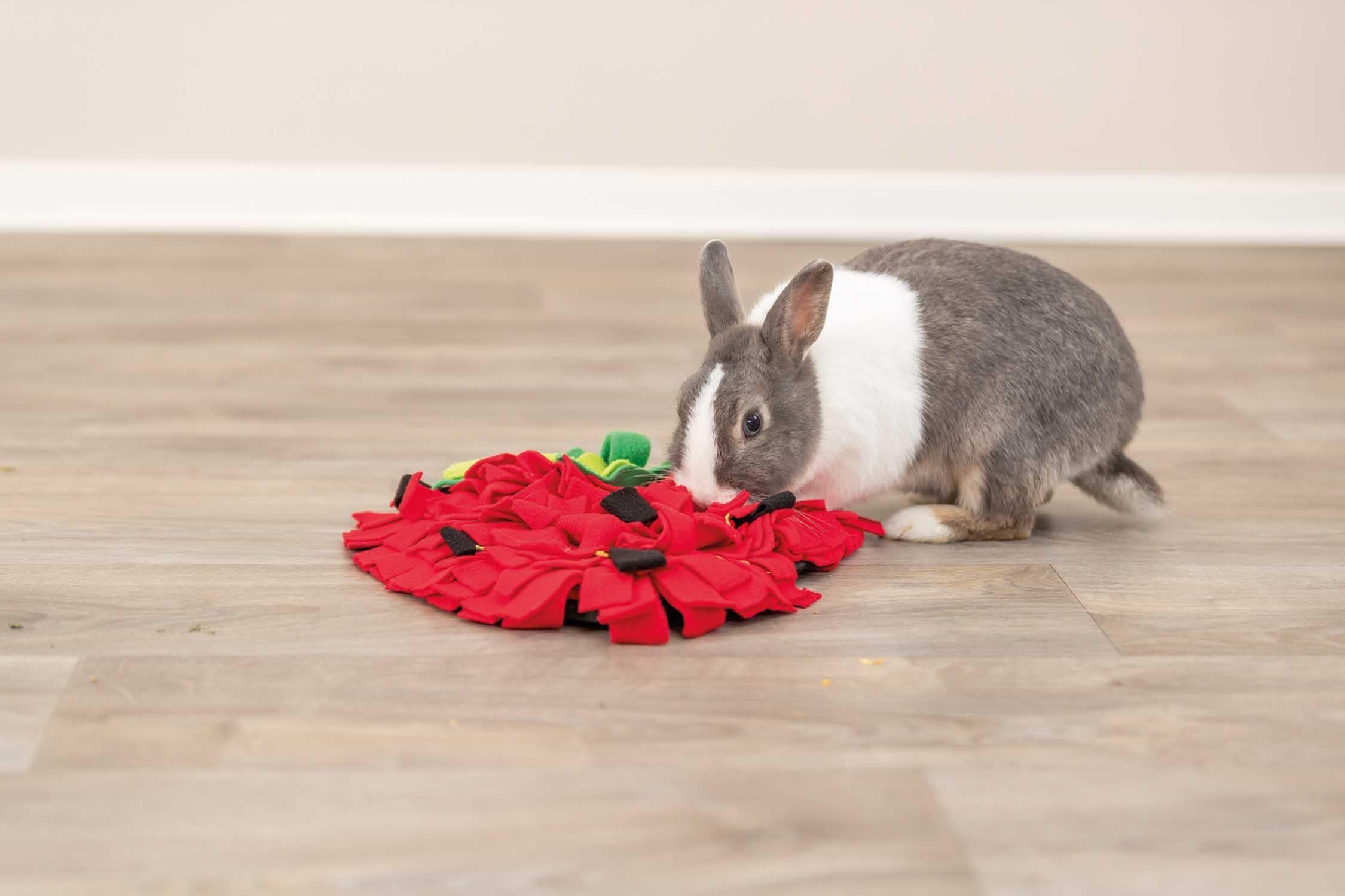 Trixie Sniffing Carpet, 33 × 40 cm, röd