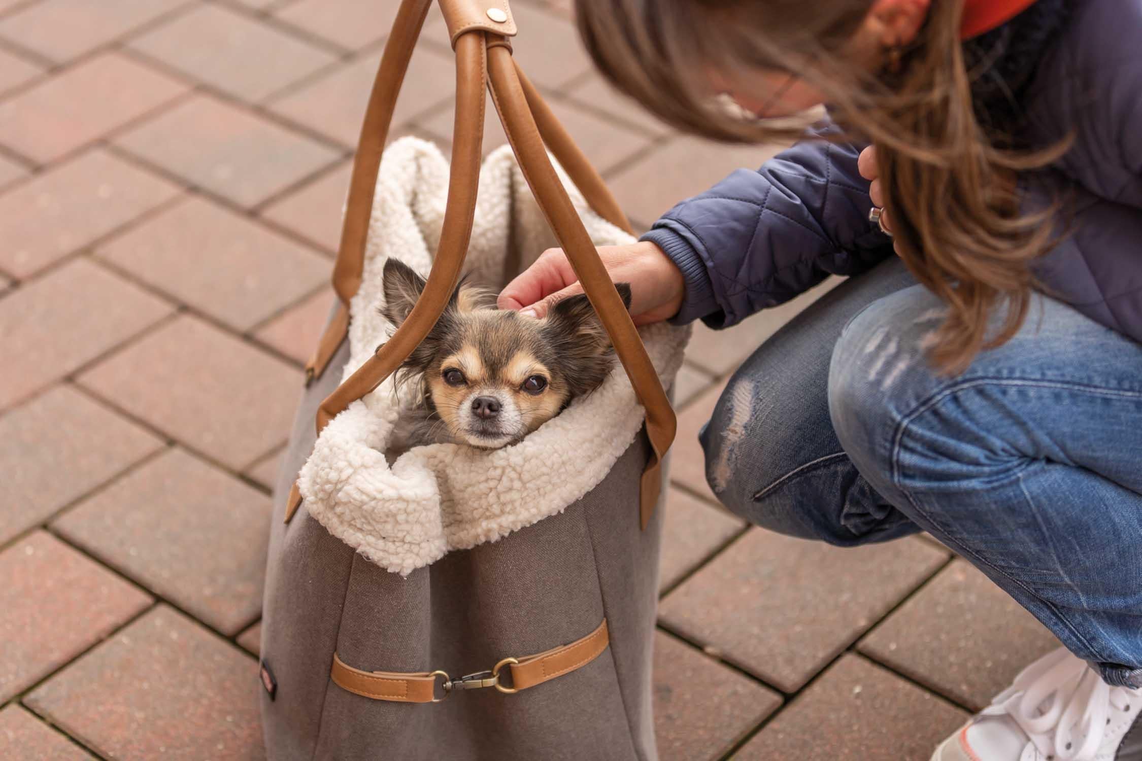 Trixie Transportväska Rachel, , grå/ljusbrun