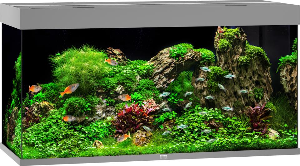 Juwel Akvarium Led Rio