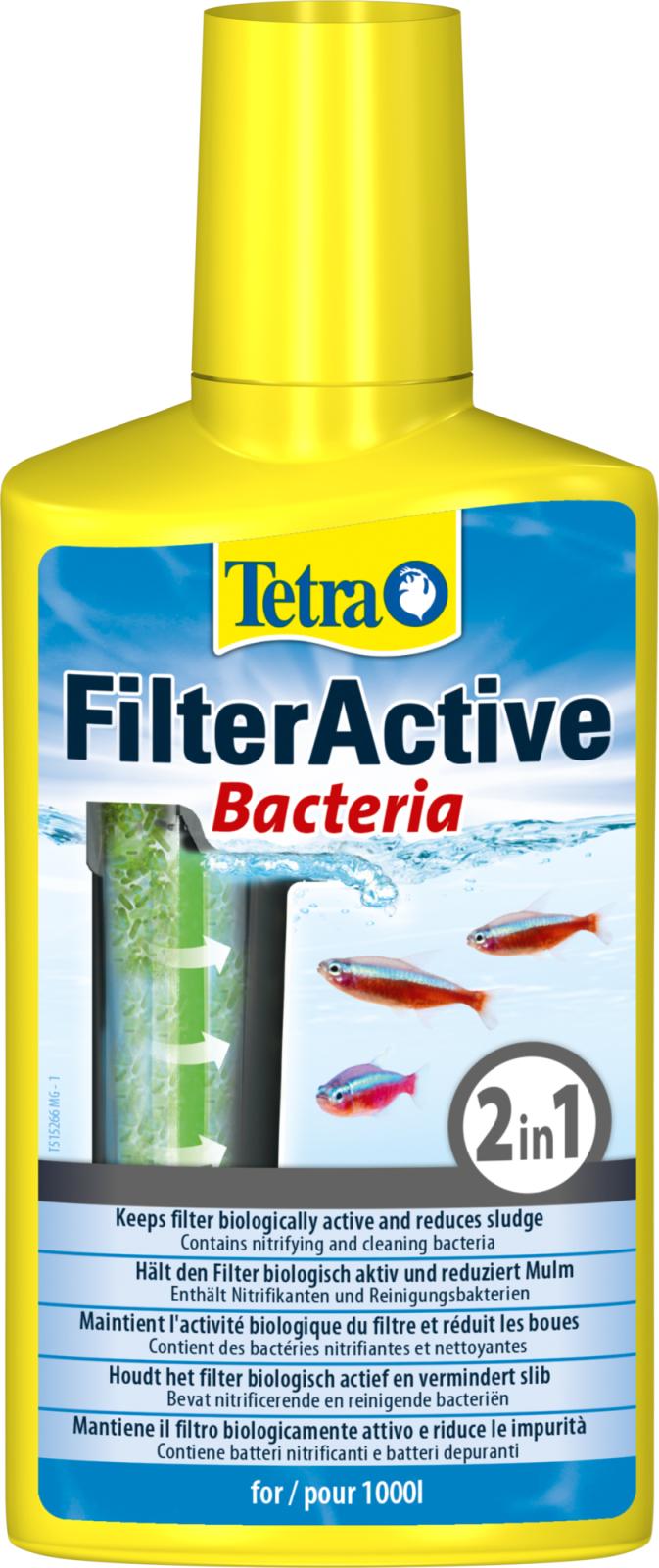 Filteractive Bacteria