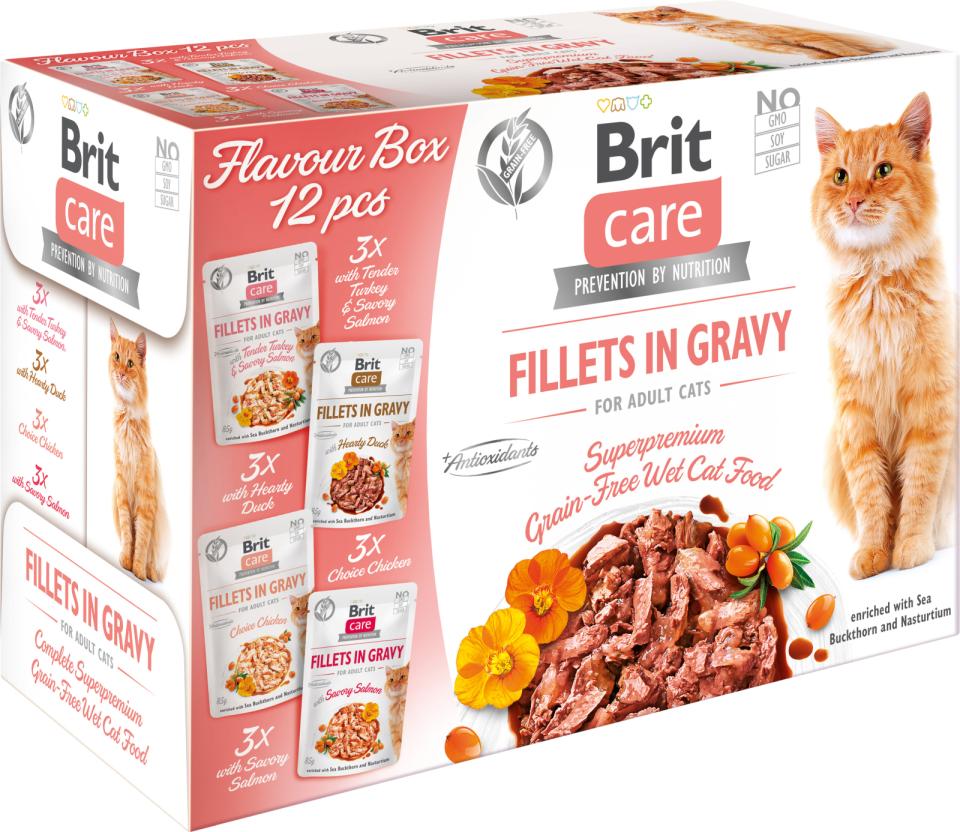 Care Cat Flavour Box Fillet In Gravy