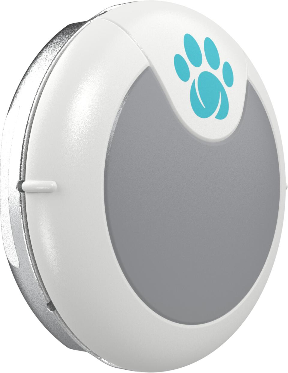 Dog Animo Behavioral Monitor