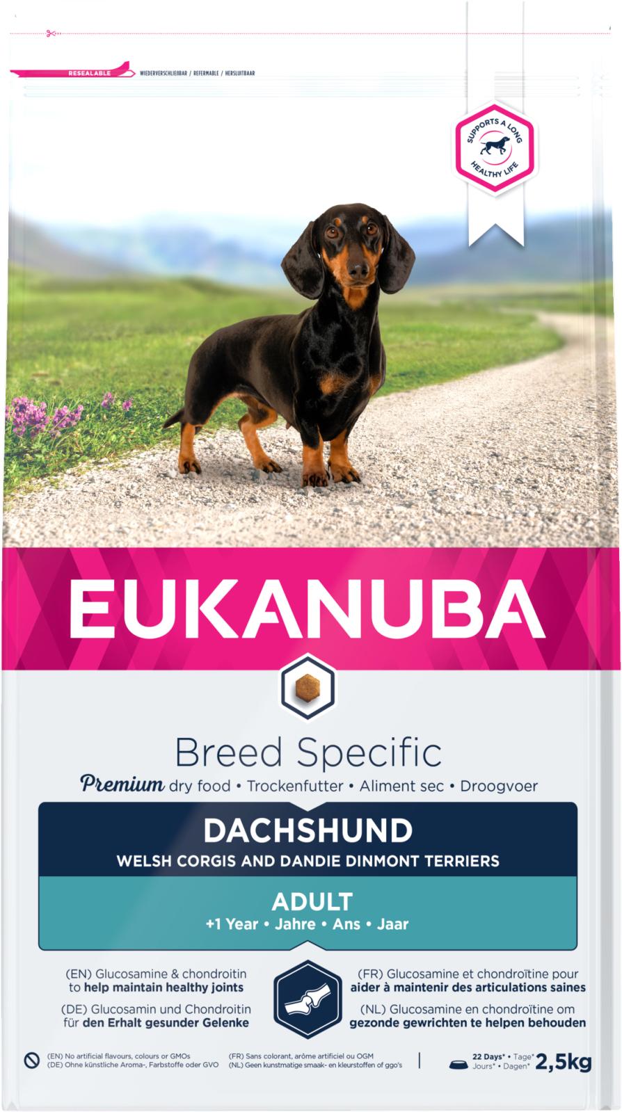 Eukanuba Dachshund (Gravhund)