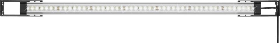 Classic Led, Daglys