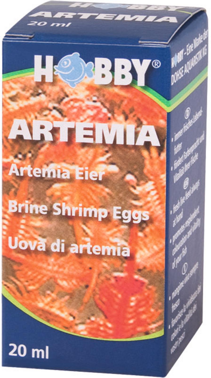 Artemia Ägg