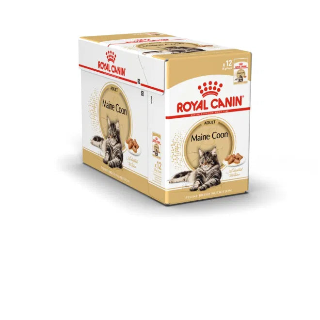 Royal Canin Maine Coon Adult Våtfoder för katt 85 g x 12 st