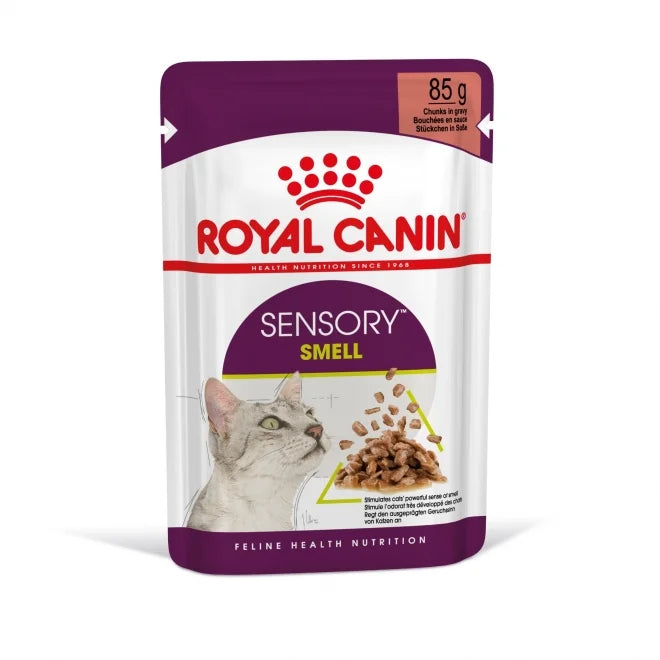 Royal Canin Sensory Smell Gravy Adult Våtfoder för katt 85 g x 12 st