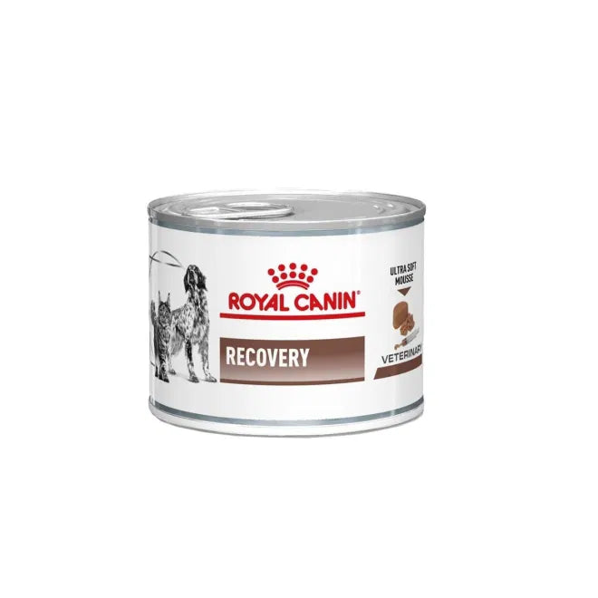 Royal Canin Veterinary Diets Dog Gastrointestinal Recovery Ultra Soft Mousse Våtfoder för katter och hundar 195 g x 12