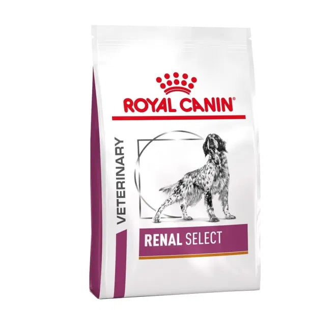 Royal Canin Veterinary Diets Dog Renal Torrfoder för hund