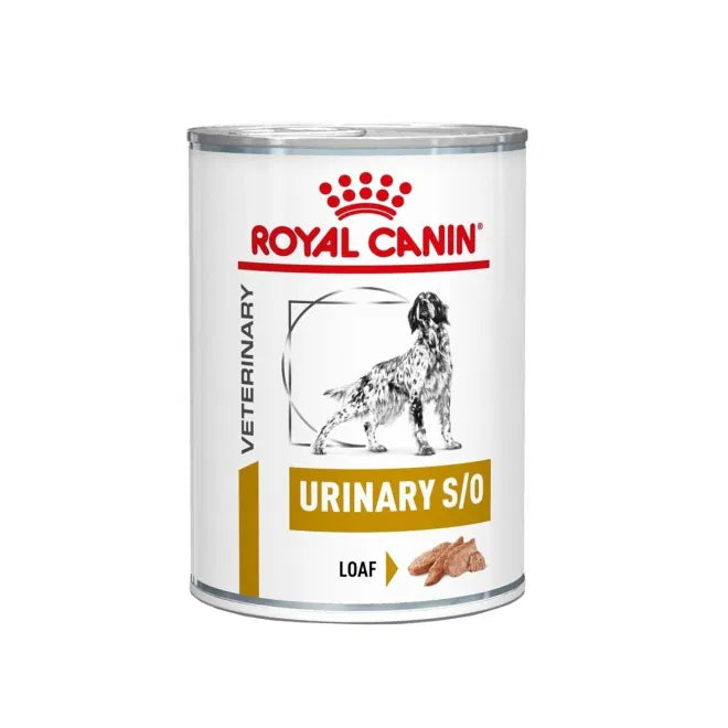 Royal Canin Veterinary Diets Dog Urinary S/O Loaf Våtfoder för hund 410 g x 12