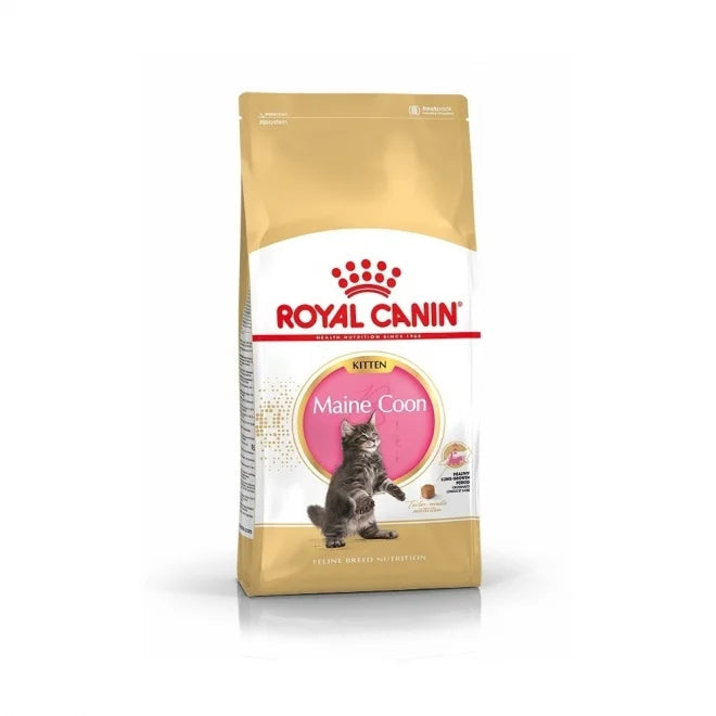 Royal Canin Maine Coon Kitten Torrfoder för kattunge