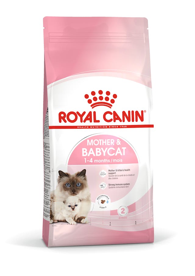 Royal Canin Mother & Babycat Torrfoder för katt och kattunge